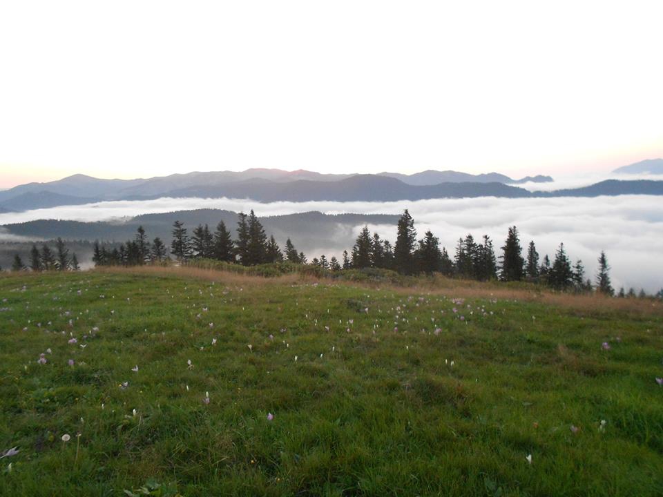 Beşikdüzü Bayırköy Resimleri 45