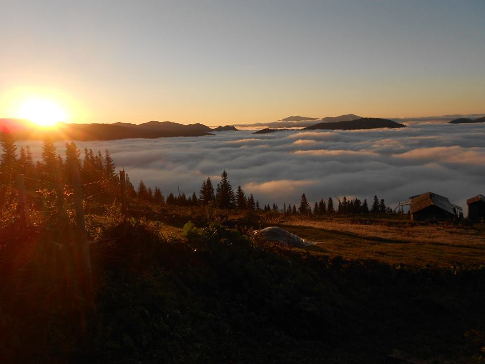 Beşikdüzü Bayırköy Resimleri 46