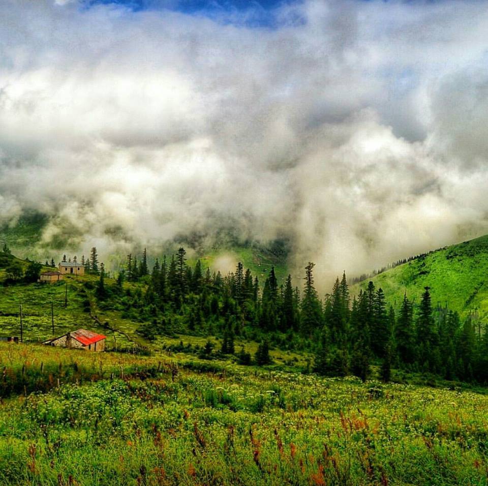 Beşikdüzü Bayırköy Resimleri 5