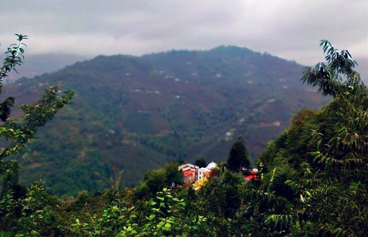 Beşikdüzü Bayırköy Resimleri 6