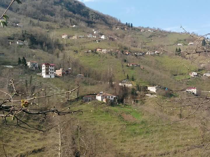 Beşikdüzü Bayırköy Resimleri 7