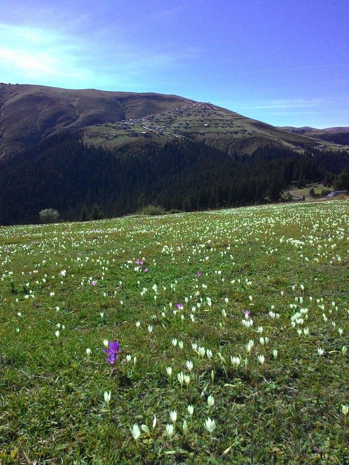 Beşikdüzü Bayırköy Resimleri 8