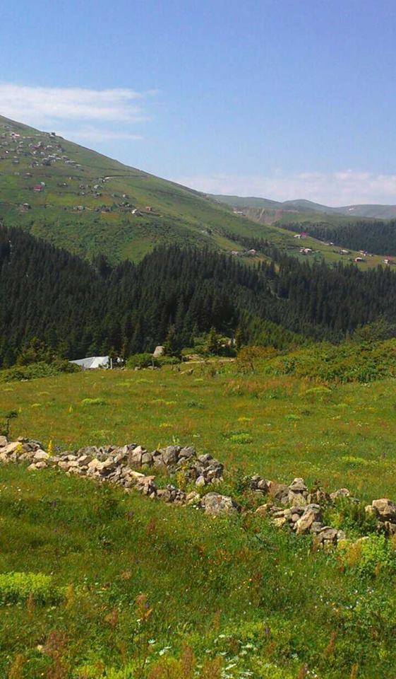 Beşikdüzü Bayırköy Resimleri 9