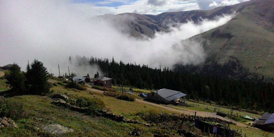 Beşikdüzü Bayırköy Resimleri