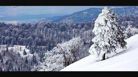Araç Köseköy Köyü Resimleri 2