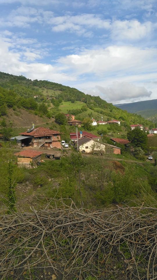 Araç Okluk Köyü Resimleri 10