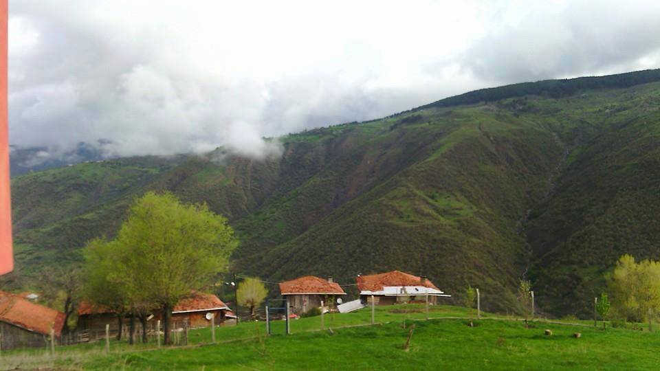 Araç Okluk Köyü Resimleri 11