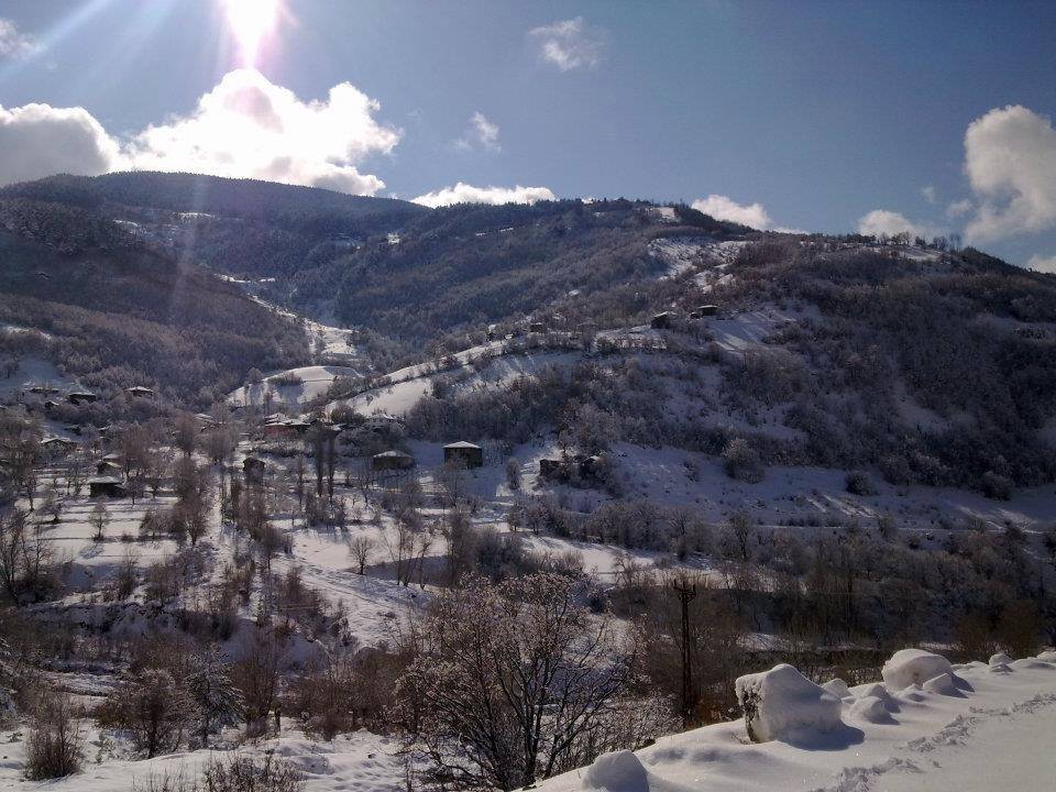 Araç Okluk Köyü Resimleri 13