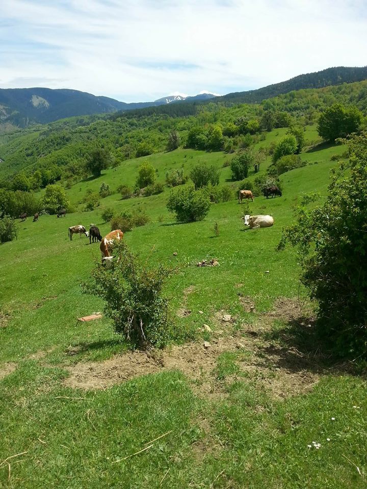 Araç Okluk Köyü Resimleri 8