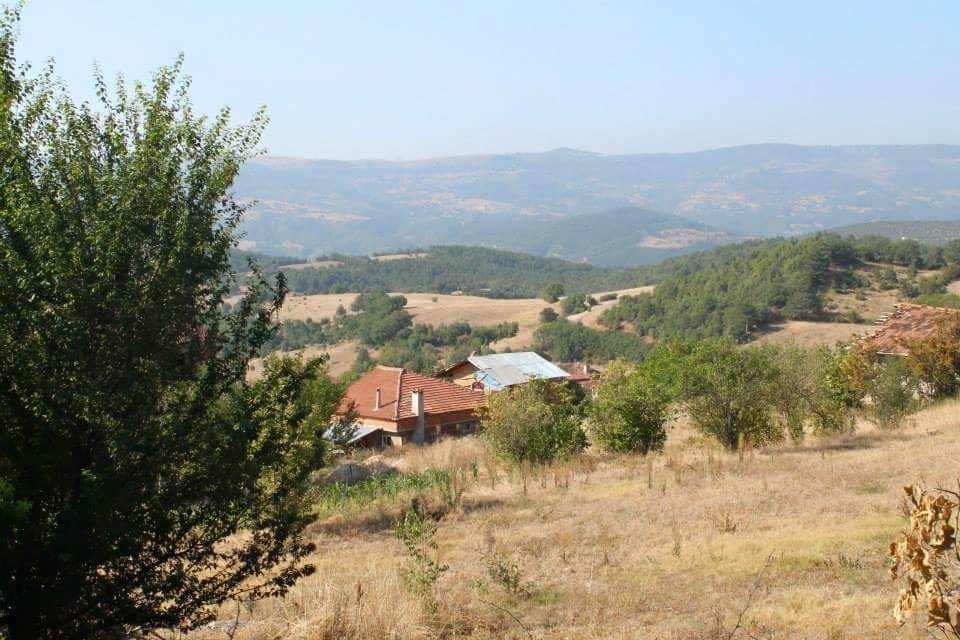 Araç Oycalı Köyü Resimleri 12