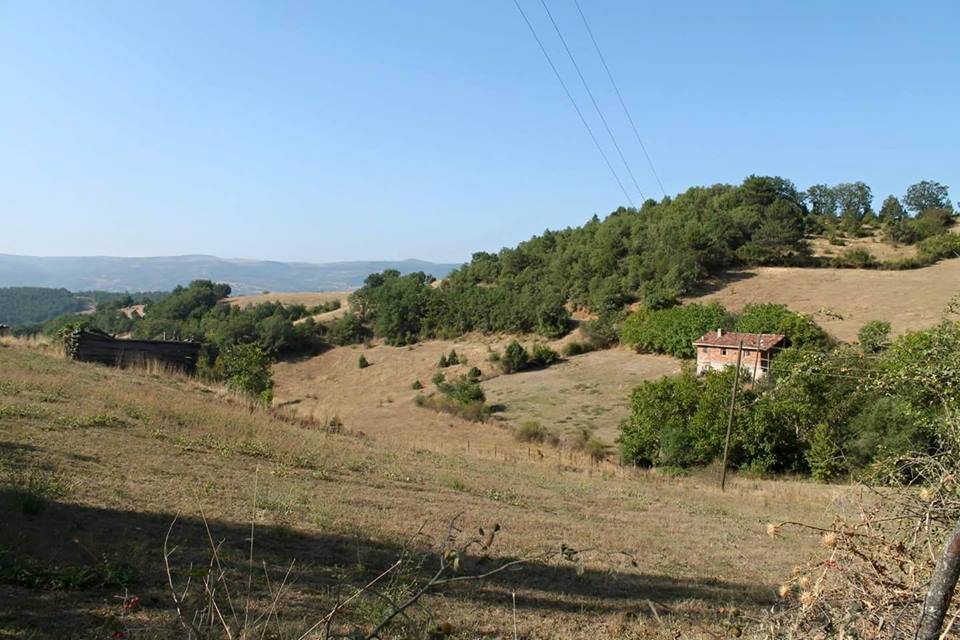 Araç Oycalı Köyü Resimleri 8