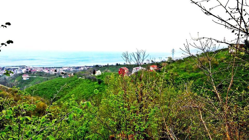 Beşikdüzü Beşikdağ Resimleri 11