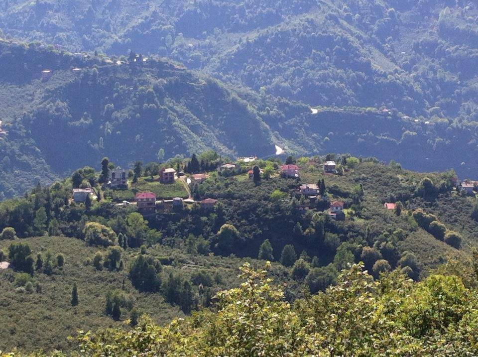 Beşikdüzü Beşikdağ Resimleri 4