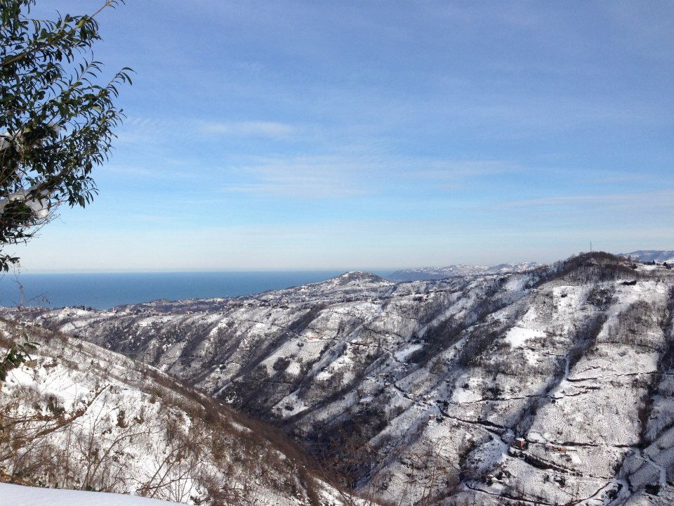 Beşikdüzü Beşikdağ Resimleri 6
