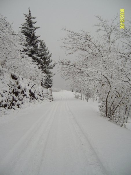 Beşikdüzü Beşikdağ Resimleri 8