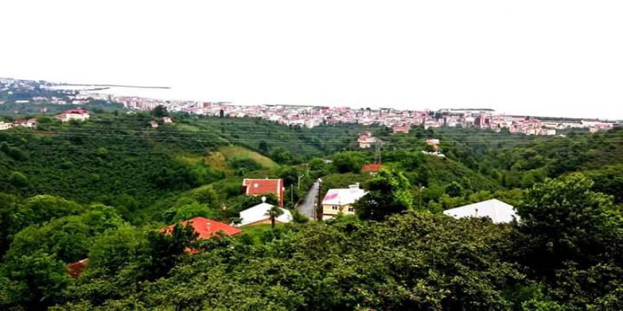 Beşikdüzü Beşikdağ Resimleri