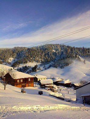 Araç Palazlar Köyü Resimleri 6