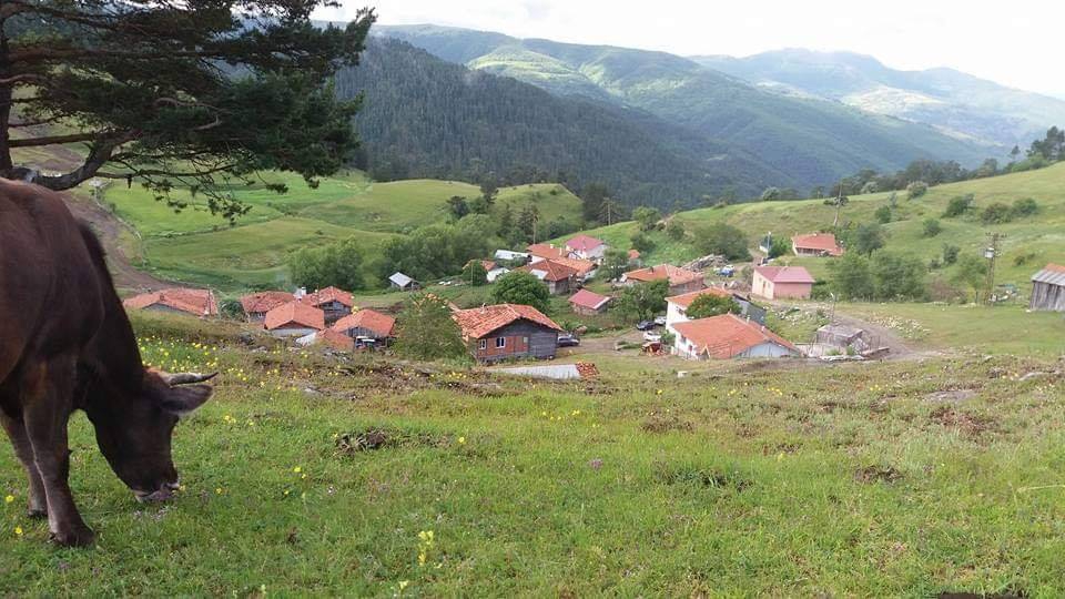 Araç Palazlar Köyü Resimleri 7