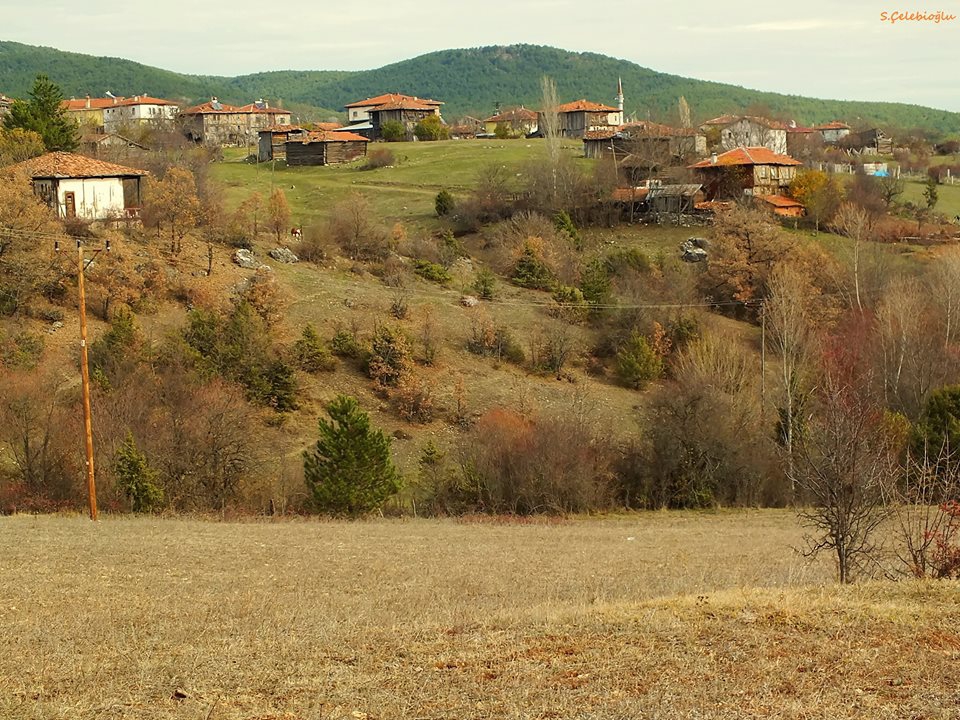 Araç Pelitören Köyü Resimleri 10