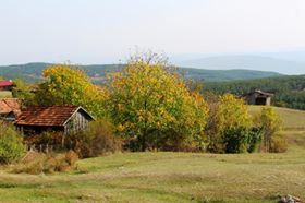 Araç Pelitören Köyü Resimleri 2