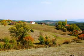 Araç Pelitören Köyü Resimleri 3
