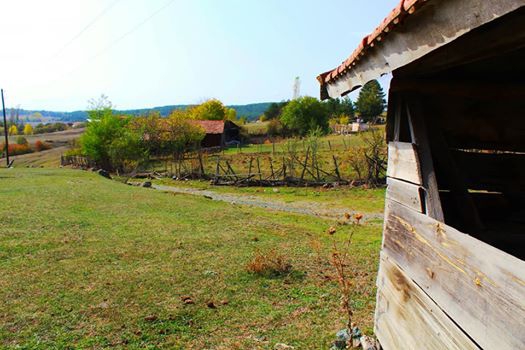 Araç Pelitören Köyü Resimleri 4