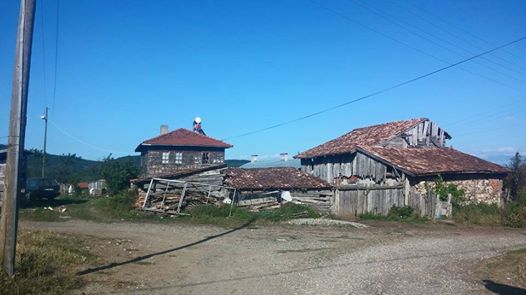 Araç Pelitören Köyü Resimleri 5