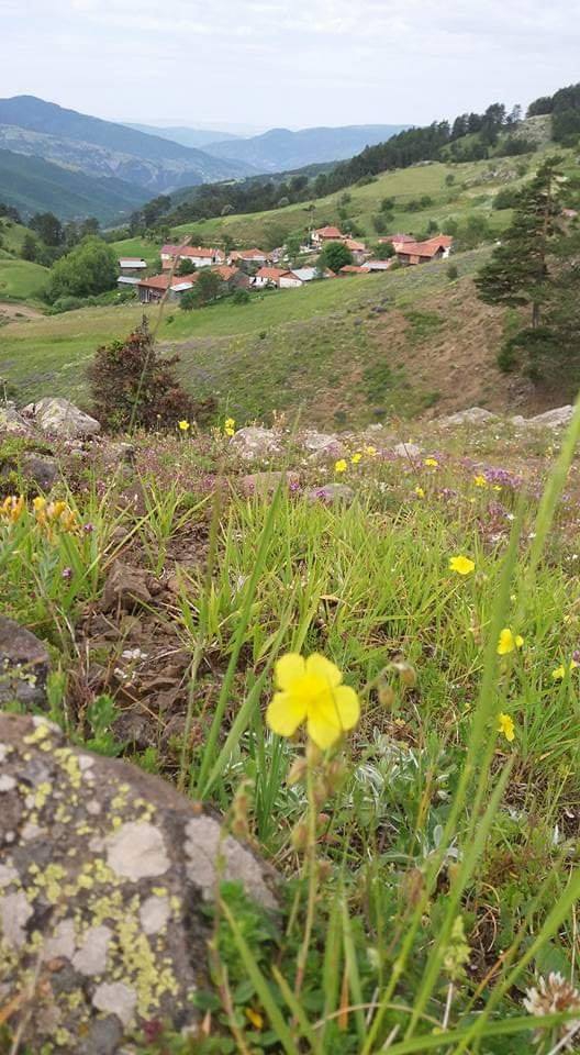 Araç Pelitören Köyü Resimleri 6