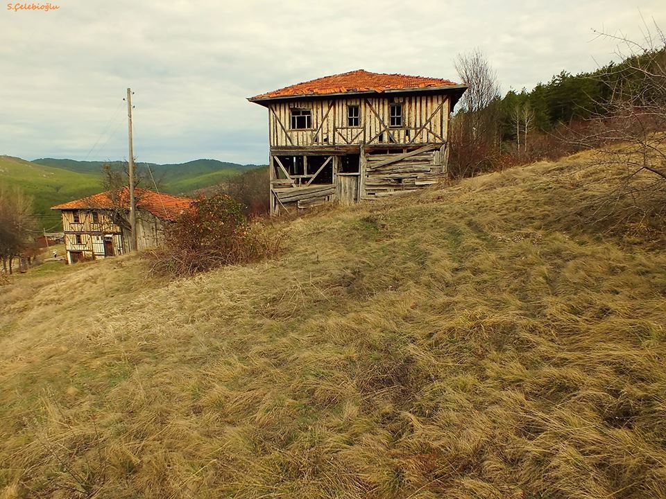 Araç Pelitören Köyü Resimleri 9