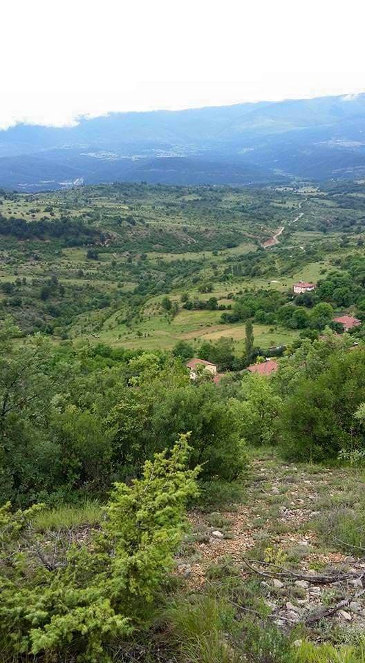 Araç Pınarören Köyü Resimleri 11