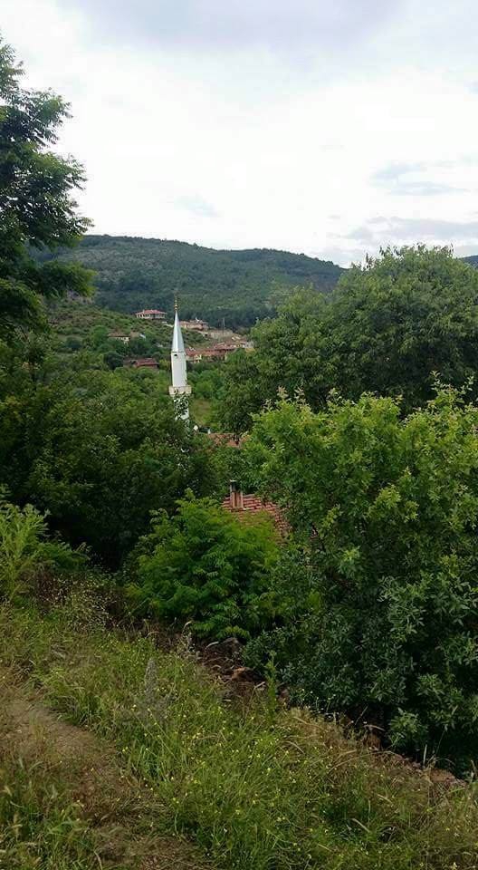 Araç Pınarören Köyü Resimleri 4