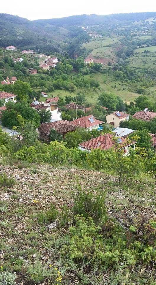 Araç Pınarören Köyü Resimleri 6