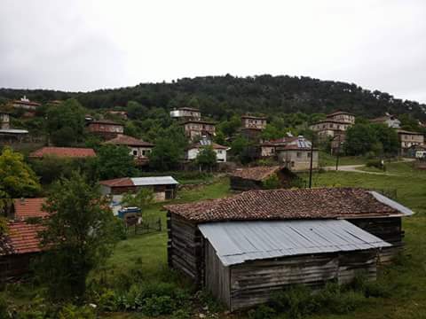 Araç Saltuklu Köyü Resimleri 6