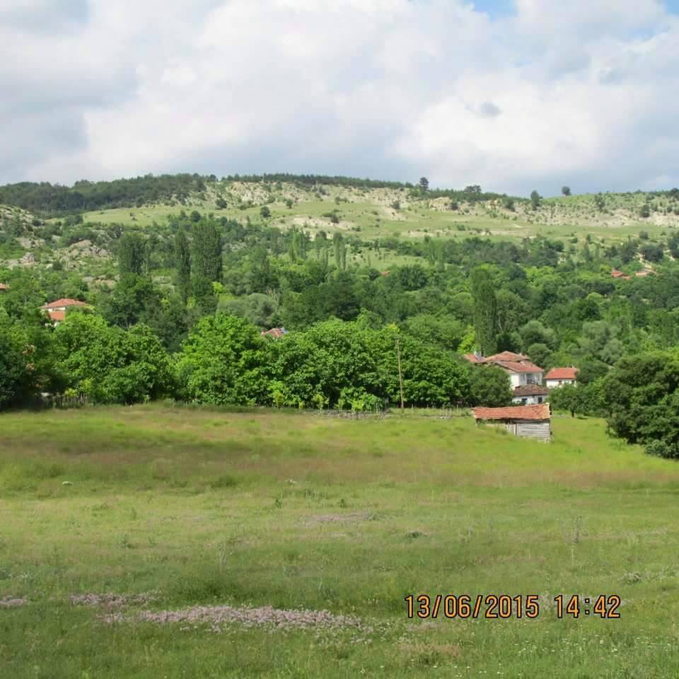 Araç Sofçular Köyü Resimleri 4