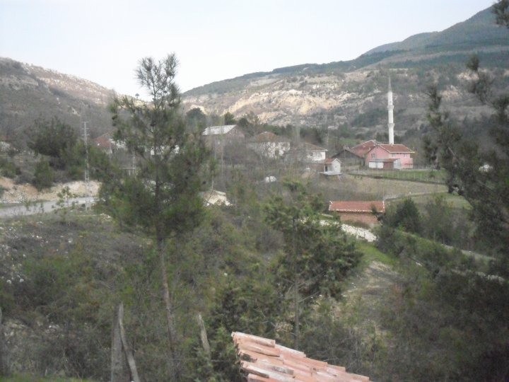 Araç Sofçular Köyü Resimleri 5