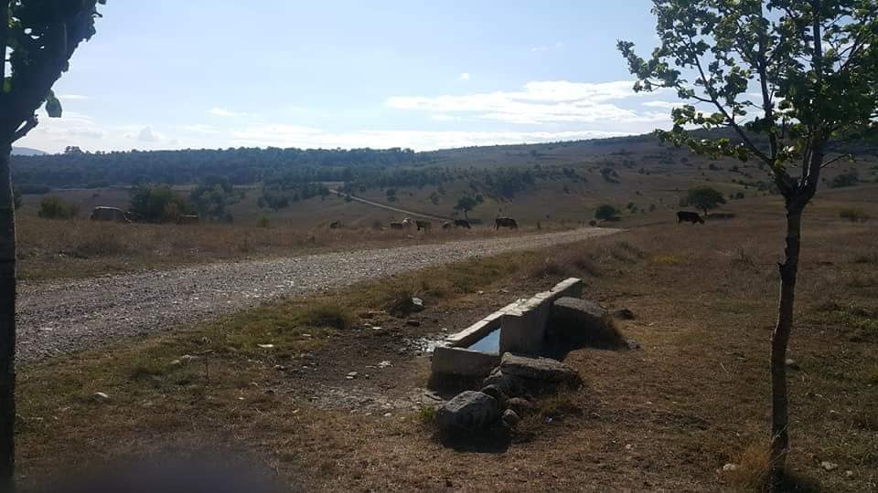 Araç Şehrimanlar Köyü Resimleri 3