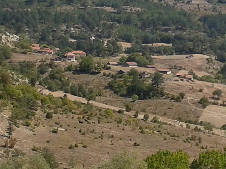 Araç Şehrimanlar Köyü Resimleri 5