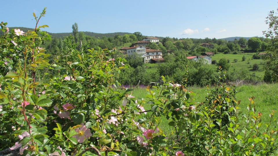 Araç Şenyurt Köyü Resimleri 4