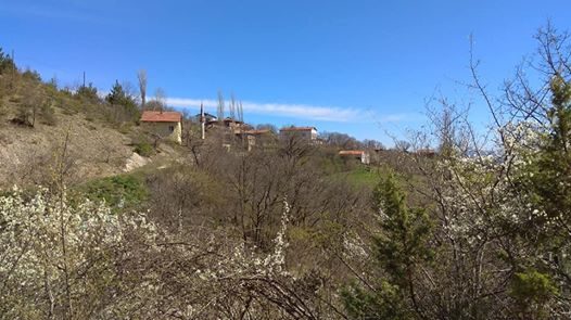 Araç Şenyurt Köyü Resimleri 6