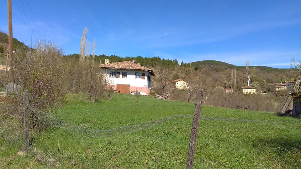 Araç Şenyurt Köyü Resimleri 8