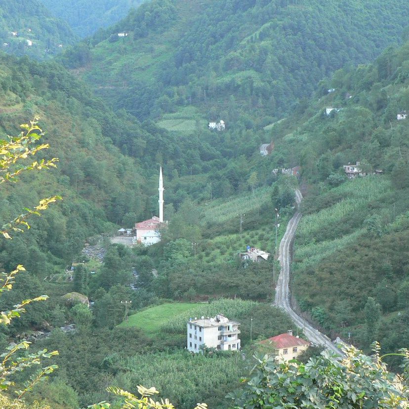 Görele Çatakkırı Köyü Resimleri 1