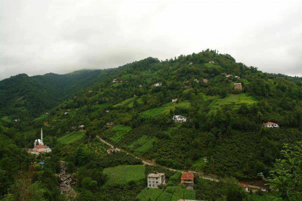 Görele Çatakkırı Köyü Resimleri 2