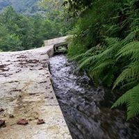 Görele Çatakkırı Köyü Resimleri 9