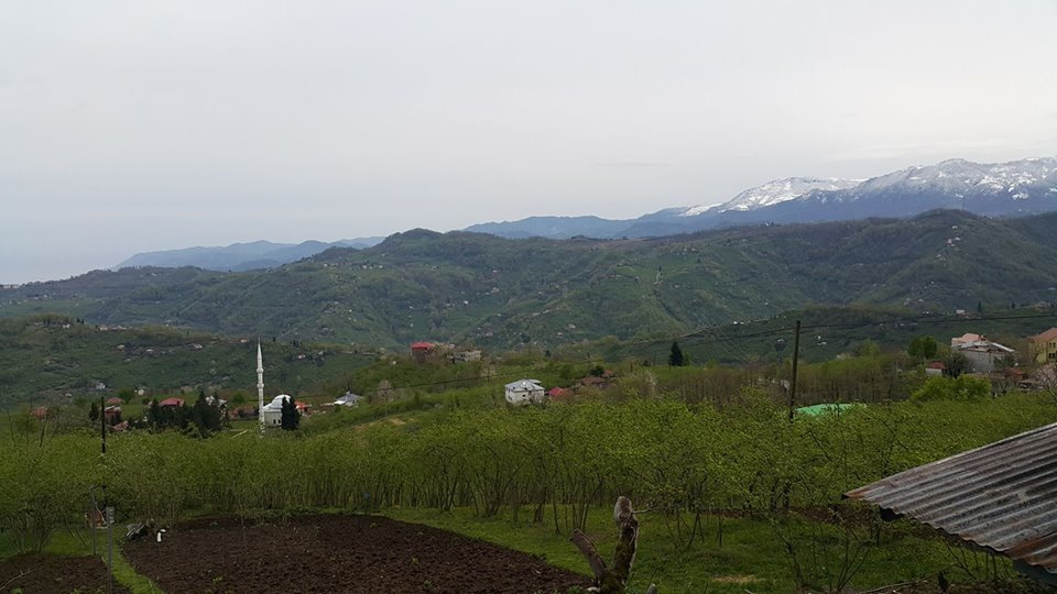 Beşikdüzü Bozlu Köyü Resimleri 10