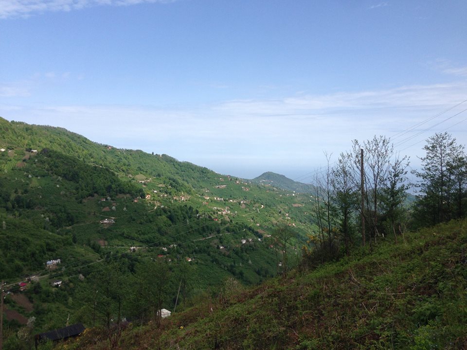 Beşikdüzü Bozlu Köyü Resimleri 11