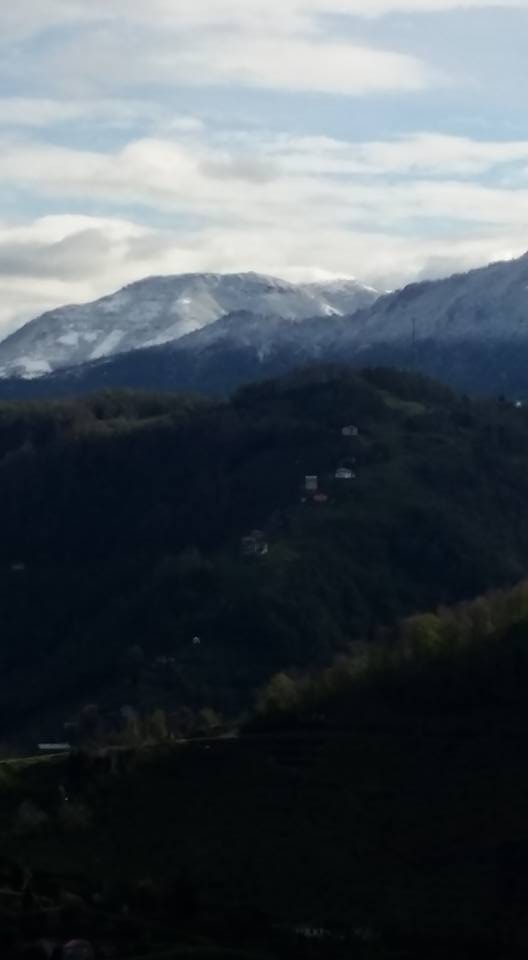 Beşikdüzü Bozlu Köyü Resimleri 14