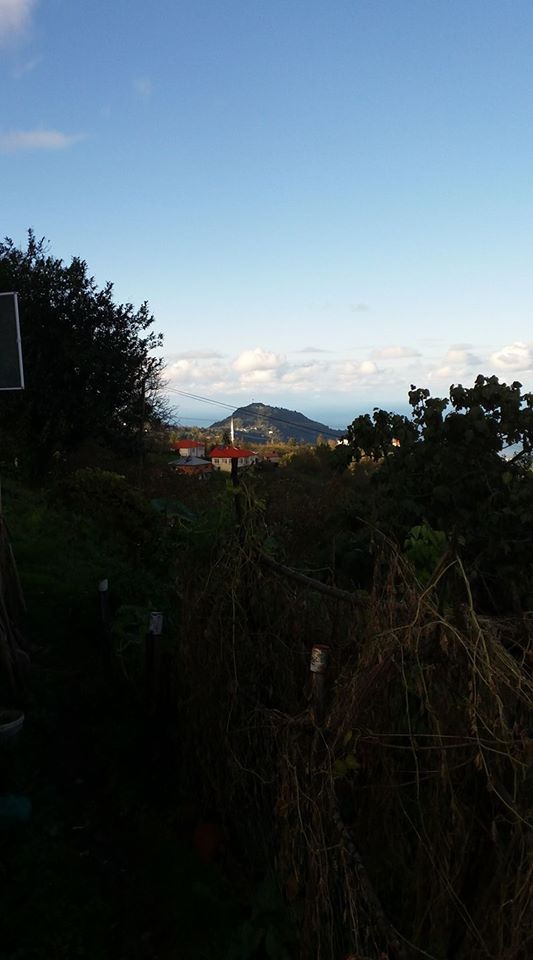 Beşikdüzü Bozlu Köyü Resimleri 15