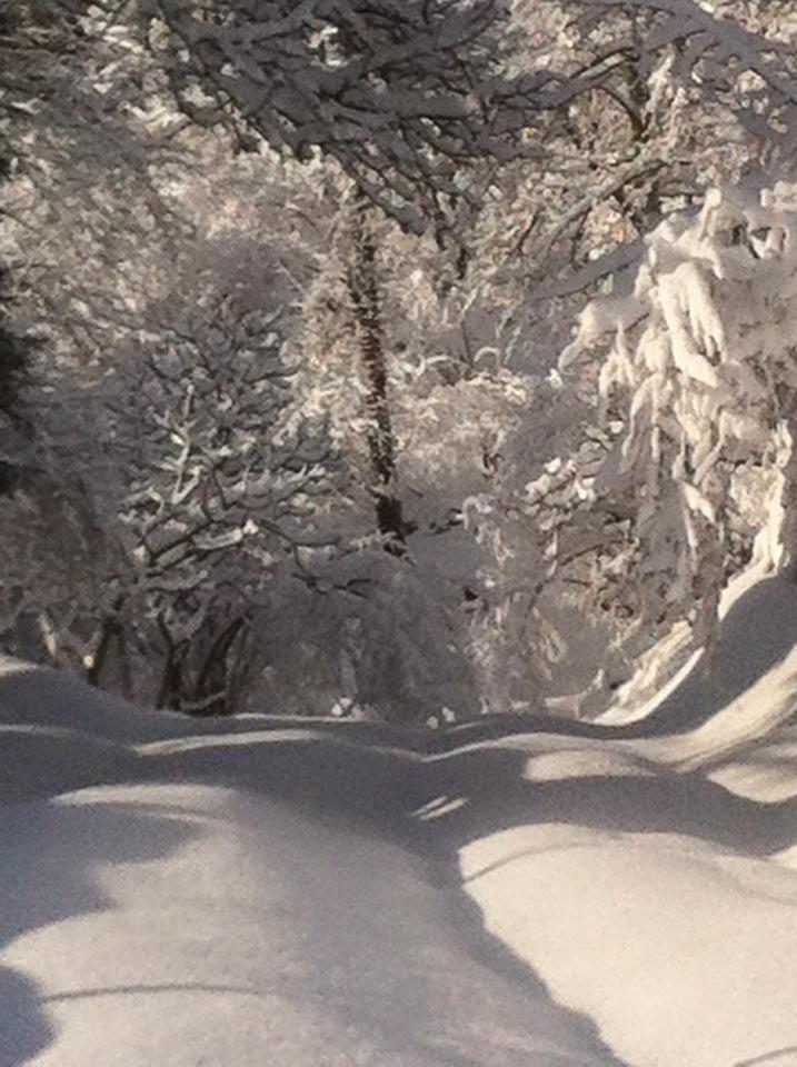 Beşikdüzü Bozlu Köyü Resimleri 16