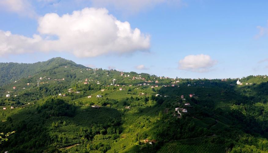 Beşikdüzü Bozlu Köyü Resimleri 17