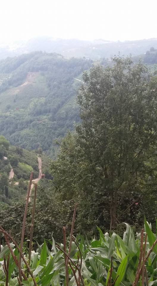 Beşikdüzü Bozlu Köyü Resimleri 18